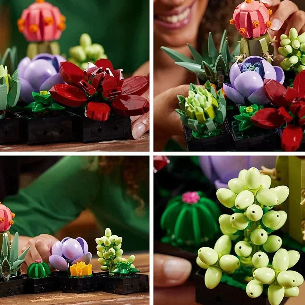 Plantas Suculentas En Piezas