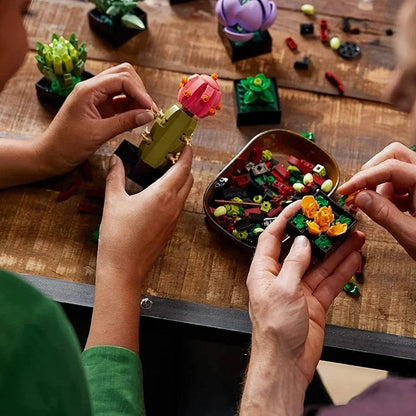 Plantas Suculentas En Piezas